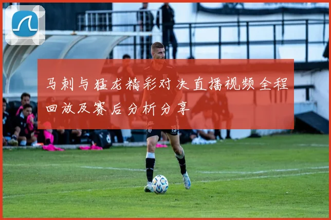 马刺与猛龙精彩对决直播视频全程回放及赛后分析分享