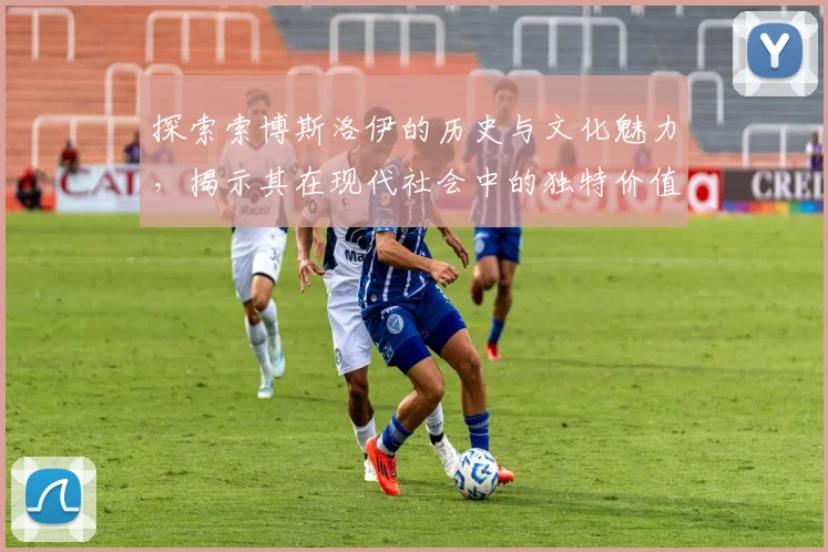 探索索博斯洛伊的历史与文化魅力，揭示其在现代社会中的独特价值与意义
